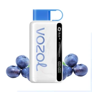 Vozol Star 12000 Blueberry Storm %5 - Görsel 1