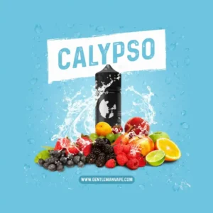 Calypso - Görsel 1
