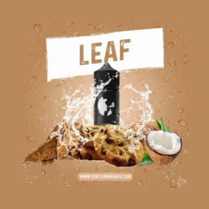 Leaf - Görsel 1